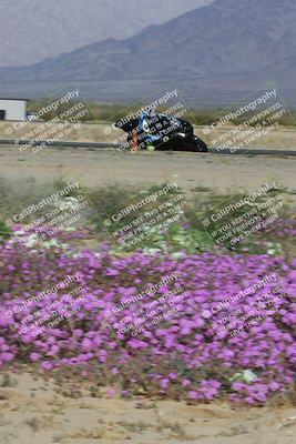 media/Feb-04-2023-SoCal Trackdays (Sat) [[8a776bf2c3]]/Turn 15 Inside Blooming (1050am)/